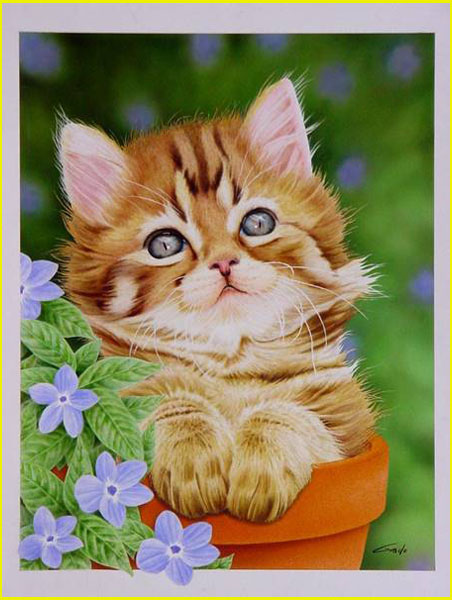 peinture à l'aérographe représentant dans un pot de fleur un chaton qui nous regarde de ses grands yeux verts