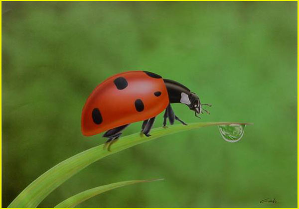Peinture acrylique d’une coccinelle rouge à pois noirs sur une longue feuille se dirigeant vers une goutte de rosée