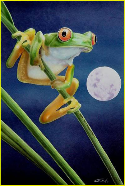 Grenouille rainette perché sur un roseau dans une nuit de pleine lune réaliser à l'aérographe sur papier