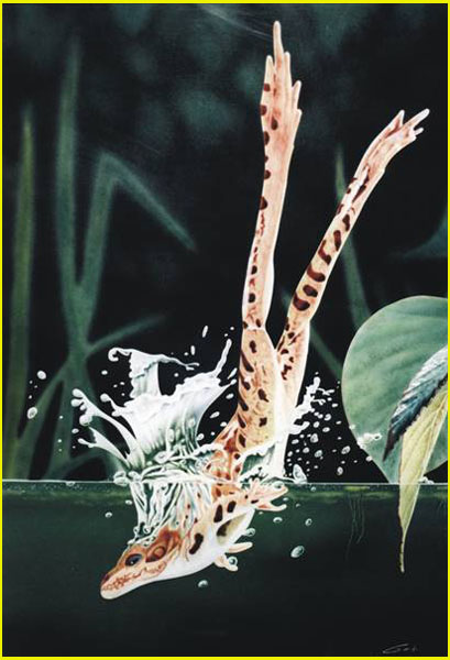 Peinture acrylique réalisé à l'aérographe d'une grenouille plongeant dans l'eau avec au loin la végétation