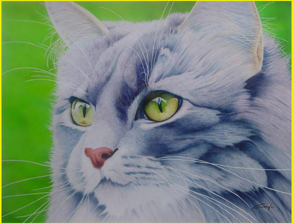 peinture à l'aérographe d'une tête de chat à long poils gris les yeux verts et de longues moustaches