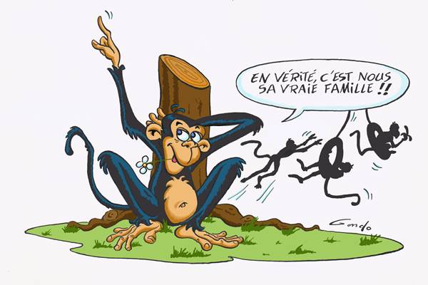 dessin de singes qui se balancent sur un pneu supendu